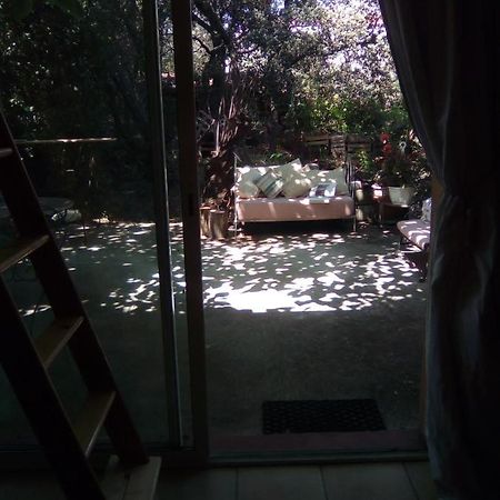 Sous Les Pins Villeneuve-lès-Avignon Exterior foto